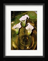 Arum Lilies Fine Art Print