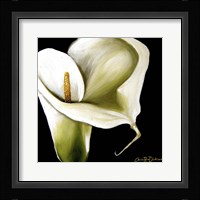 Arum Lily Ii Fine Art Print