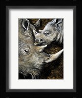 Rhinos Fine Art Print