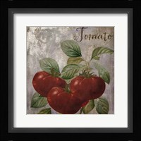 Medley Gold Tomato Framed Print