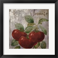 Medley Gold Tomato Framed Print