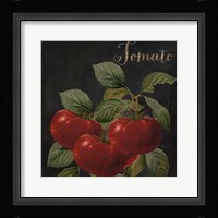 Medley Tomato Framed Print