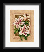 Lily Fresco Framed Print