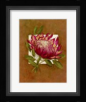 Tropical Squares 3 Framed Print