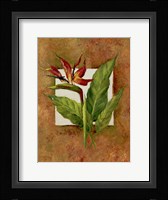 Tropical Squares 4 Fine Art Print