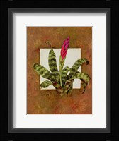 Tropical Squares 1 Framed Print