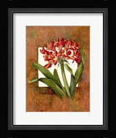 Tropical Squares 2 Framed Print