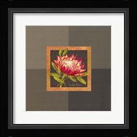 Tropical Treasures I Framed Print