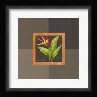 Tropical Treasures II Framed Print
