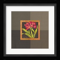 Tropical Treasures IV Framed Print