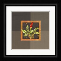 Tropical Treasures III Framed Print