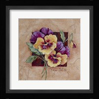 Pansy Square Framed Print