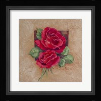 Rose Square Fine Art Print