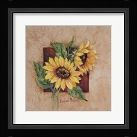 Sunflower Square Framed Print