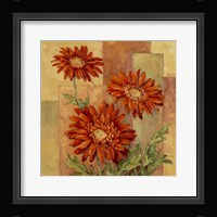 Terracotta Daisies Framed Print