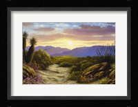 Desert Splendour Fine Art Print