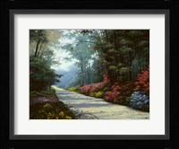 Garden Path Fine Art Print