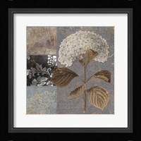 Cocoa & Blue II Fine Art Print