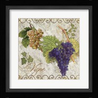 Pastoral Fruits II Framed Print