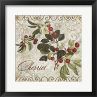 Pastoral Fruits III Framed Print