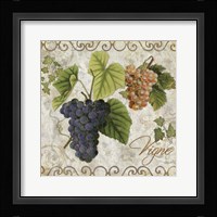 Pastoral Fruits IV Framed Print