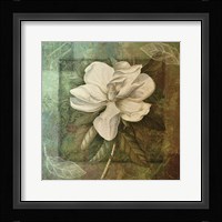 Indian Summer I Framed Print