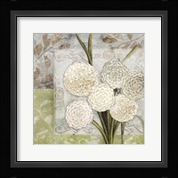 Dahlias for Donna I Framed Print