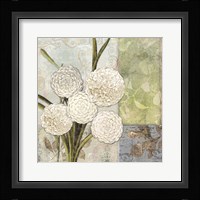 Dahlias for Donna II Framed Print