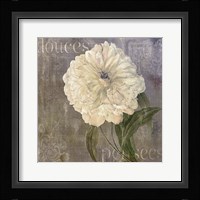 Douces Pensees Framed Print