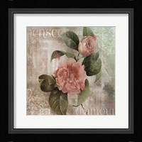 Pensees Damour Framed Print