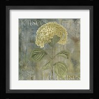 Pensees Heureuses Fine Art Print