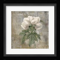 Pensees Serein Framed Print