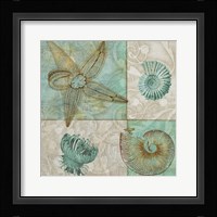 Sea Life I Framed Print