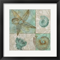 Sea Life I Framed Print