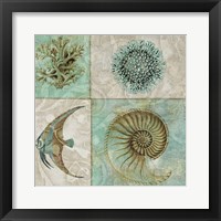 Sea Life II Fine Art Print