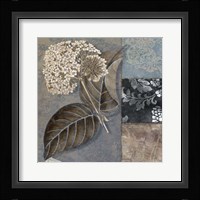 Cocoa & Blue III Framed Print