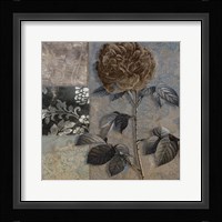 Cocoa & Blue IV Framed Print