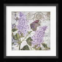 Victorian Romance III Framed Print