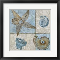 Sea Life V Framed Print