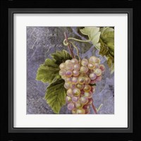 Violette II Framed Print