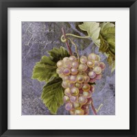 Violette II Framed Print
