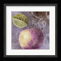 Violette III Fine Art Print