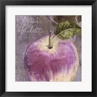 Violette IV Framed Print