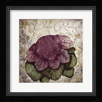 Legumes Francais IV Framed Print