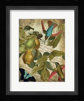 Petals and Wings III Framed Print