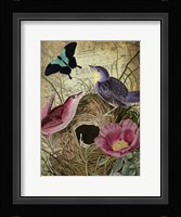 Petals and Wings IV Framed Print