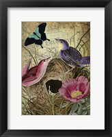 Petals and Wings IV Framed Print