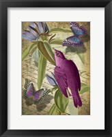 Petals and Wings VI Framed Print
