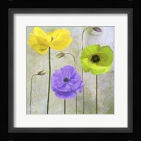 Garden Shimmer II Framed Print