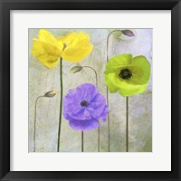 Garden Shimmer II Framed Print